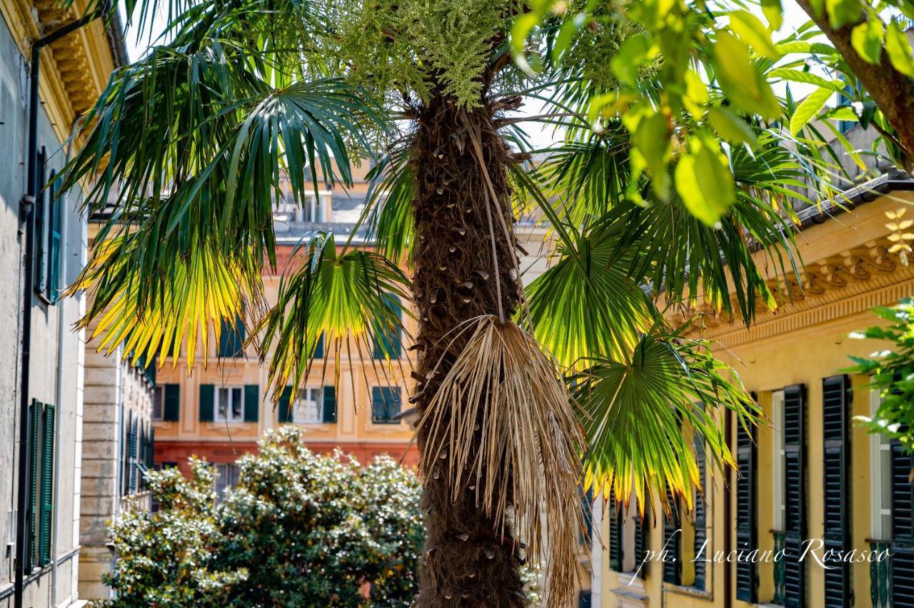 Il Giardino Della Tartaruga Affittacamere Genova