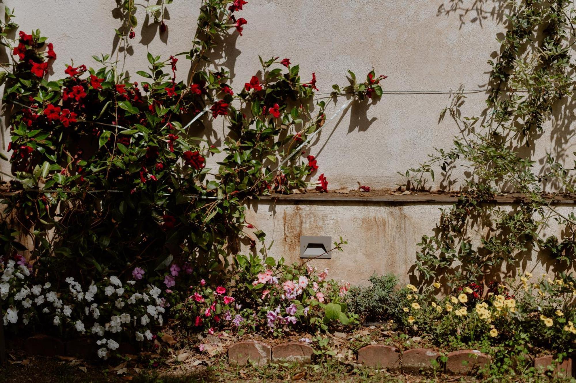 Il Giardino Della Tartaruga
